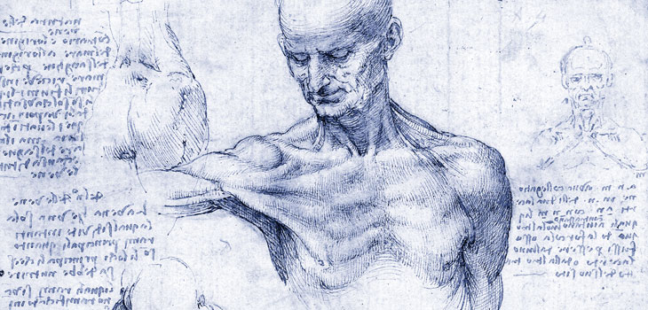 Posterior Shoulder Instability Literature Too Random? // Most Extensive Study Ever of PCL Rotation // and More!