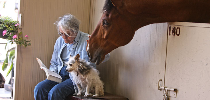 Horse Treatment Tried on Humans
