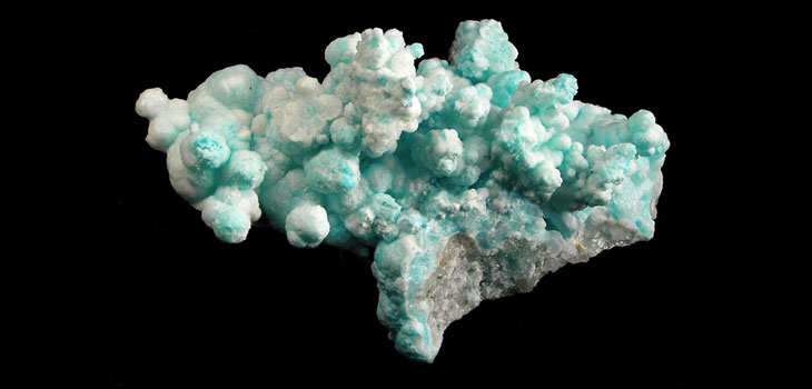 Coral Grown to Repair Bone