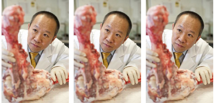 Australian Company Grows Human Tendons!