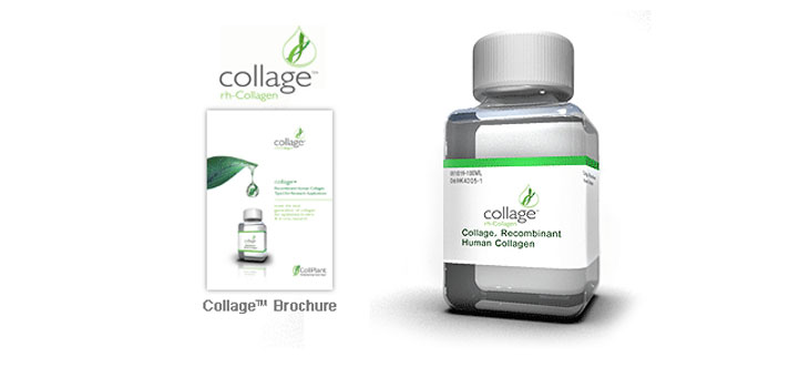 CollPlant’s Innovative Human Collagen for Wound Care