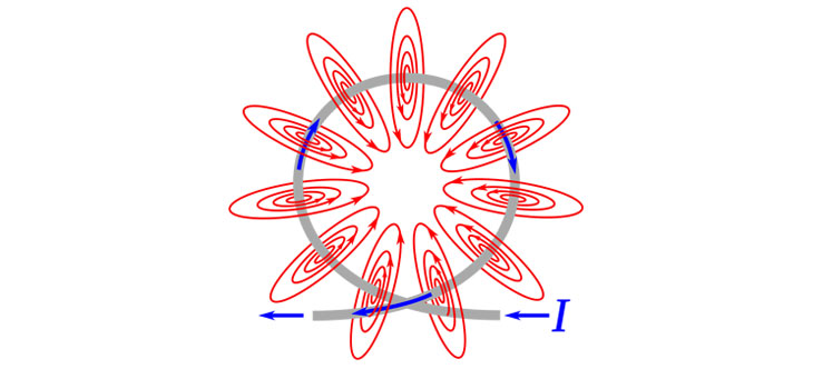 Magnetic Field Controls Stem Cell Activity