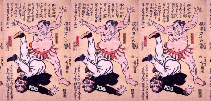 Japan’s New Device Regulations – Faster Than FDA