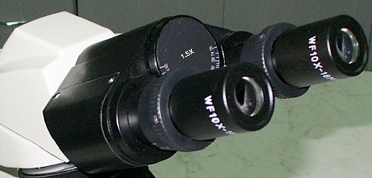 Study Begins on Meniscus Tears