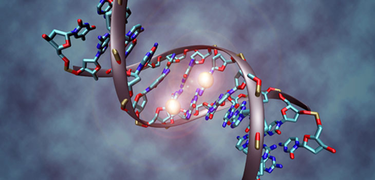 Study Affirms Osteoarthritis Not Inheritable