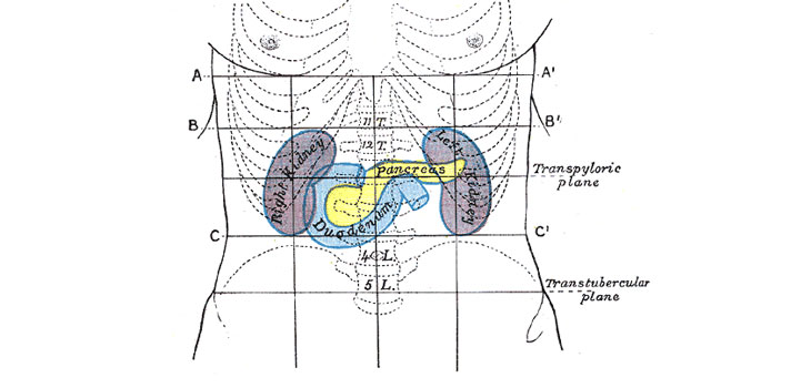 Kidney Injury Associated With Joint Replacement Surgery