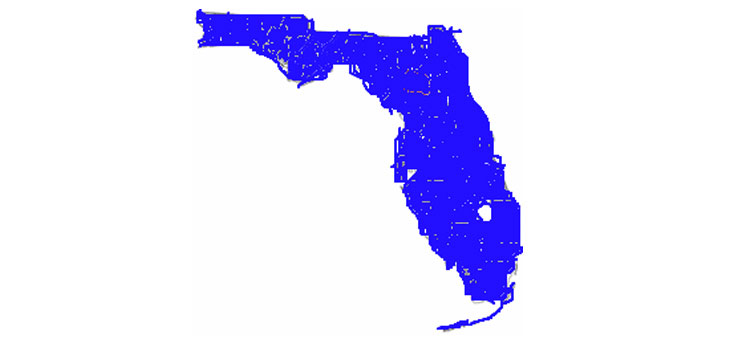 Florida Joint Replacement Cost Disparities