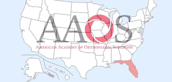 AAOS Guidelines Fodder for HA Reimbursement Cuts