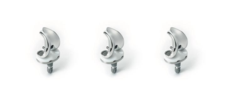 Lima Corporate Releases Physica Knee System