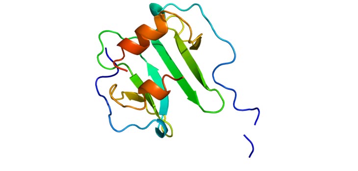 $1.1 Million to Study, Speed Bone Regeneration and Repair