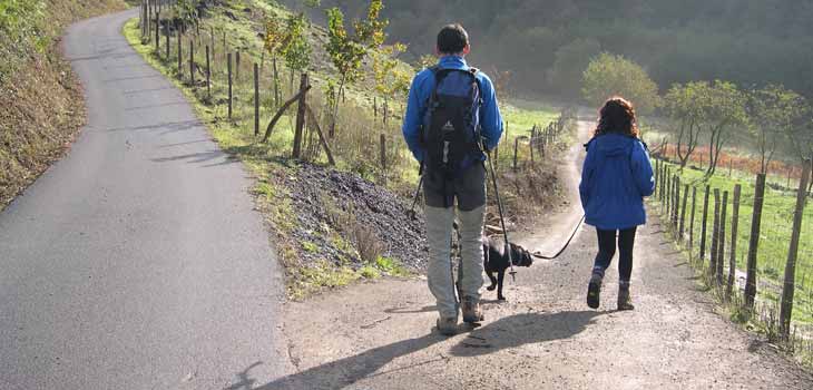 Exercise Cuts Mortality 40% – New 6, 000 Patient Study