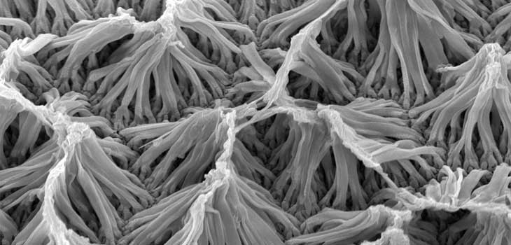 Deliver Drugs Remotely Via Nanowires!