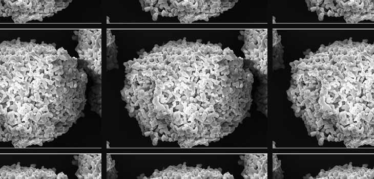 BioStructures: 4, 000 Signafuse Implantations