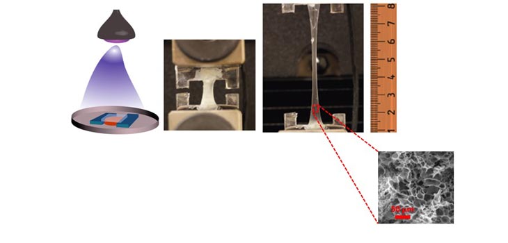 Protein-Based Gel Advances Wound Healing