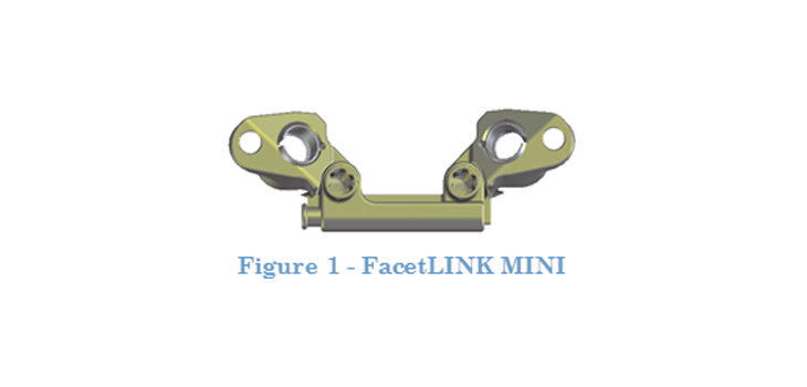 LinkSPINE: First U.S. Implantation of FacetLINK MINI