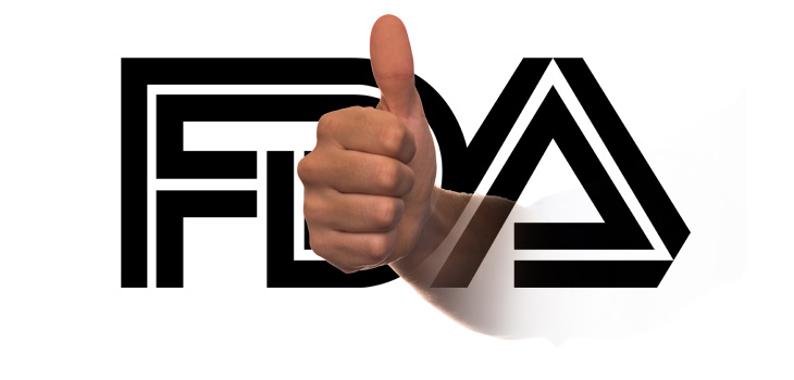 FDA on Record Approval Pace in 2015