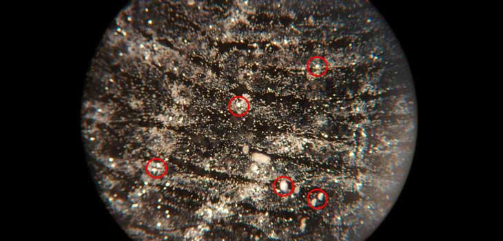 The Fingerprint of God