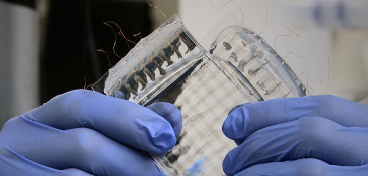 Prosthetic ‘Skin’ Communicates With Brain Cells