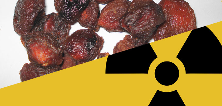 Plums Counter Bone Loss in Those Exposed to Radiation
