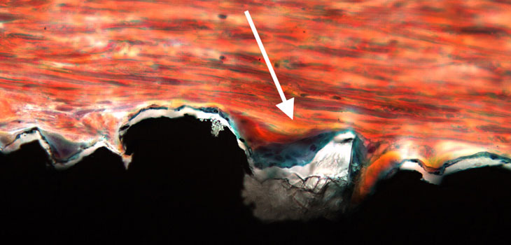 Better Bone and Titanium Bonding
