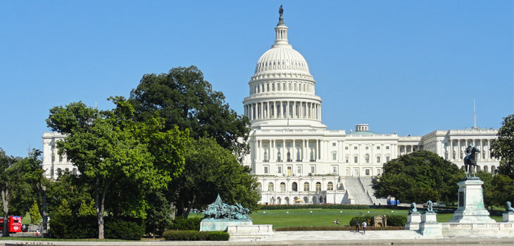 Washington Update: February