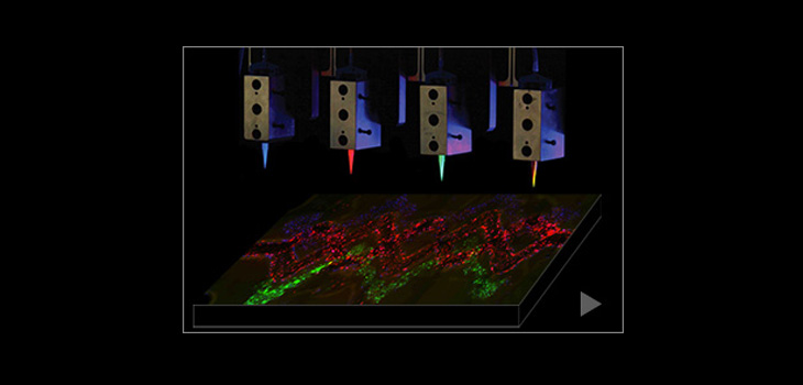 3D Bioprinting Creates Blood Vessels