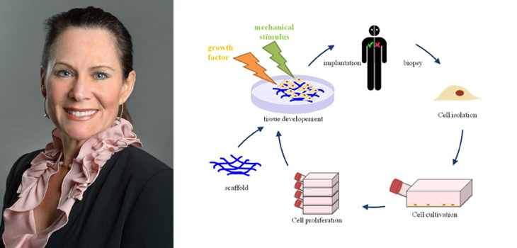 Found! More Cost-Effective Method of Tissue Engineering