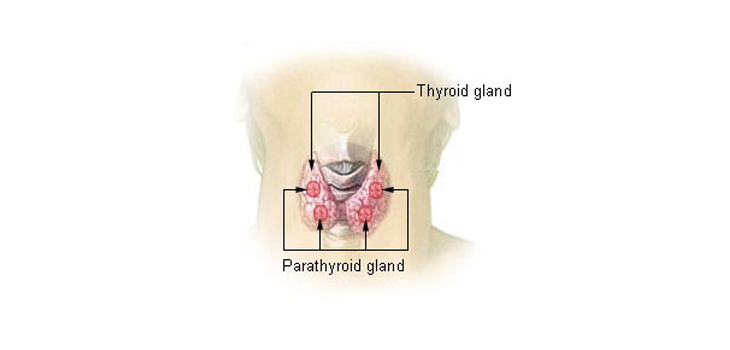 Hyperparathyroidism Patients: Beware of Bisphosphonates