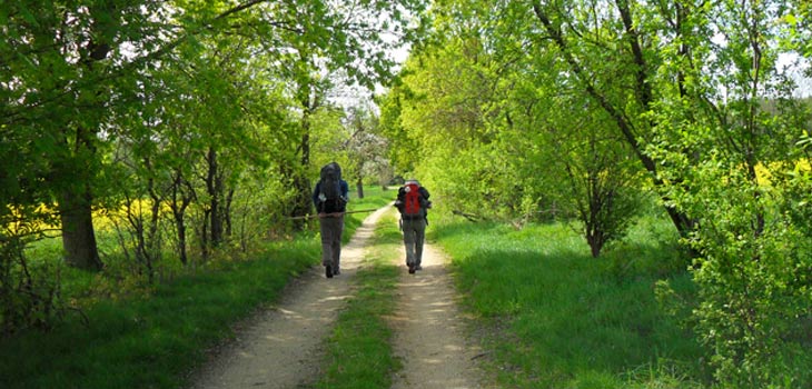 Study Revises Calorie Expenditures in Walking