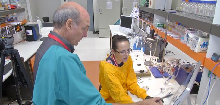U.S. Military Grants $532, 349 for “Pharmacological Tourniquet”