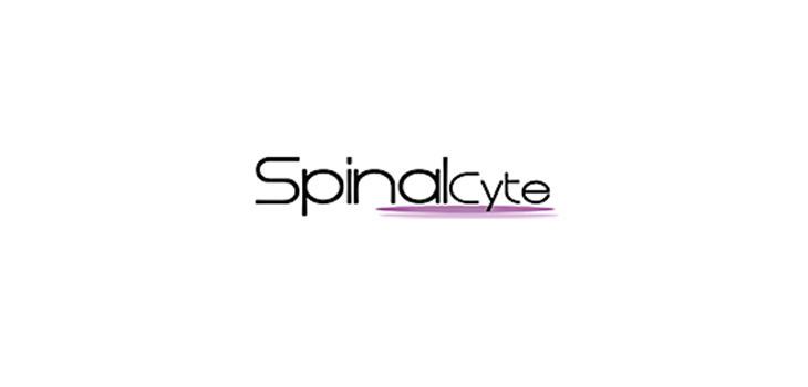 Spinal Disc Replacement Trial Successful