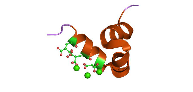 Found! Hormone Restores Muscle Function