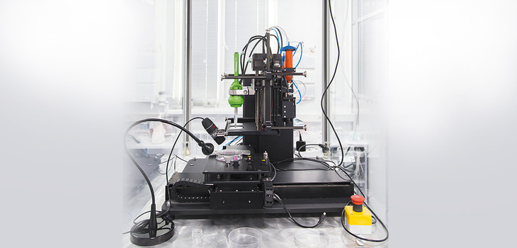 3D Bio-Ink Prints Cartilage and Bone
