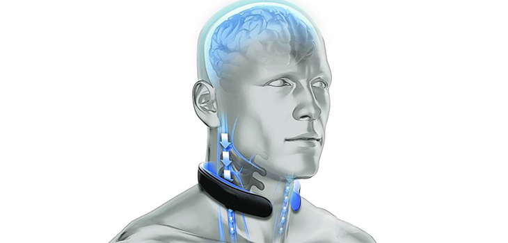 Neck Collar Prevents Head Injuries