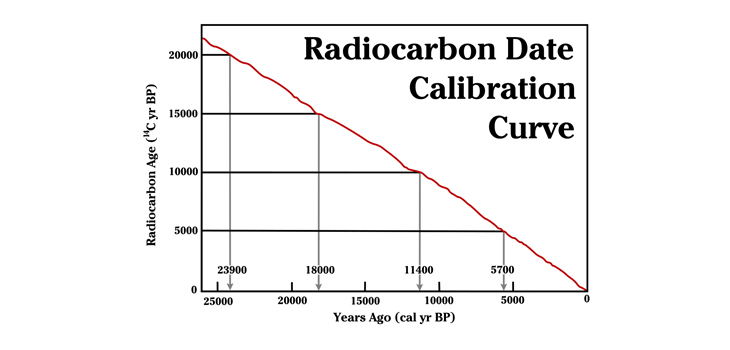 Radiocarbon Dating Shows Cartilage Cannot Renew