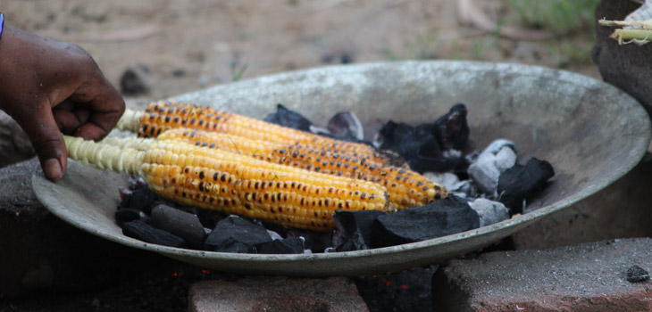 Calcium Retention Increased With…Corn Fiber?