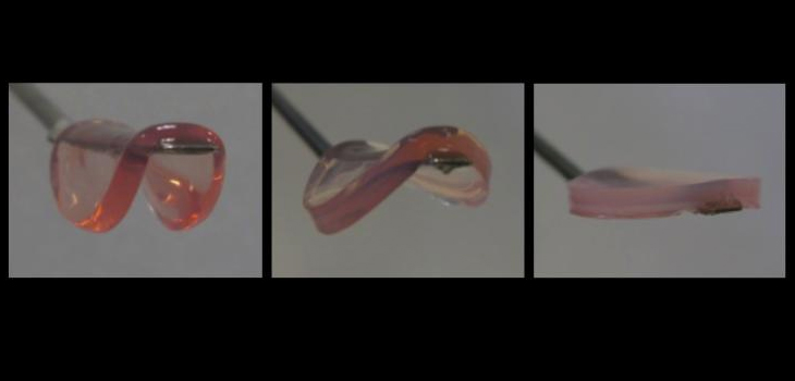 Stem Cell Differentiation: Clues Found!