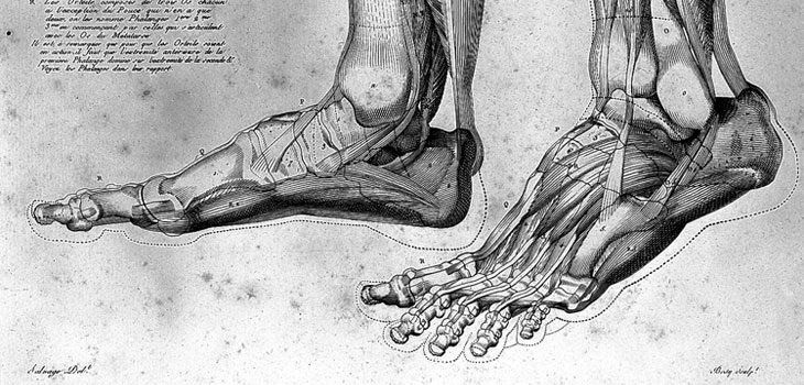 Massive Study: 7.2% Complication Rate for Nerve Block in Foot Surgery