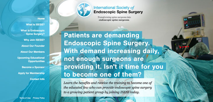 Endoscopic Spine Surgery Society Formed