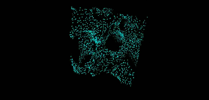 Inflammation Helps With Bone Regeneration?