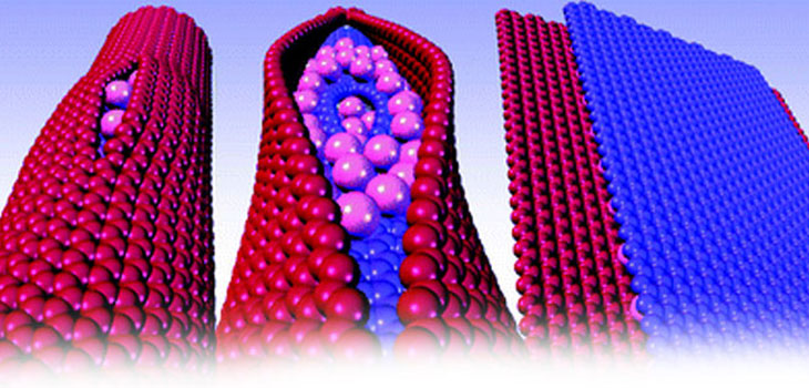 Graphene Nanoribbons+Polymer=Spinal Cord Healing?