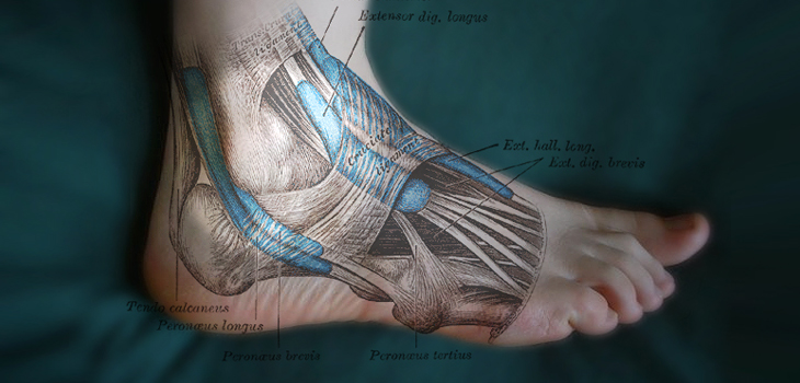 Ankle, Hindfoot Study: Graft=Better Fusion