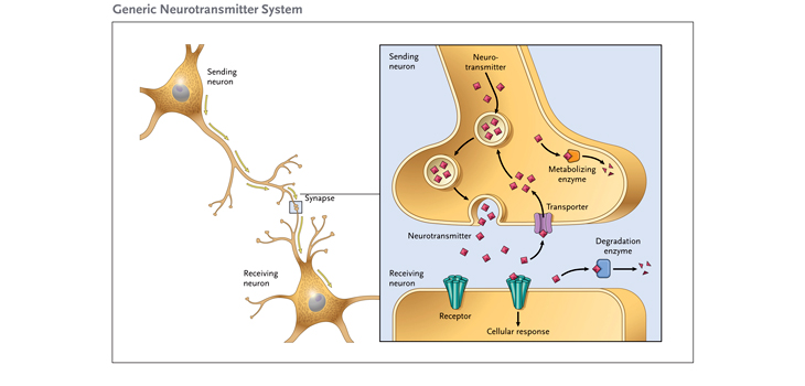 Commentary: The Link between Pain and Anxiety Disorders