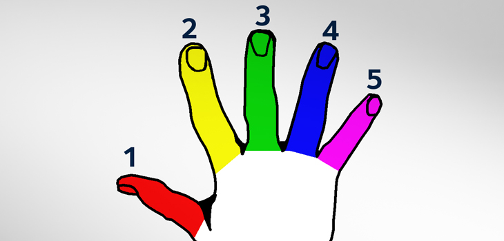 The Brain Remembers “Phantom” Hands!