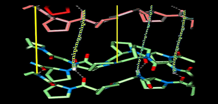 Intralink-Spine: Early Positive Results for Rejuve