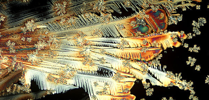 Gold Plus Vitamin E-Impregnated Implants