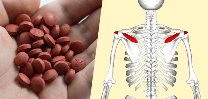 Ibuprofen’s Effects on Healing