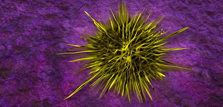 New Infection Risk Assessment Tool