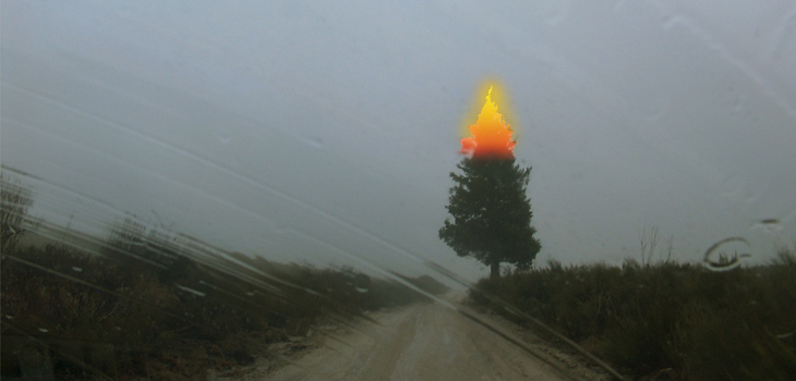 Commentary: New Study Documents Association Between Weather and Pain