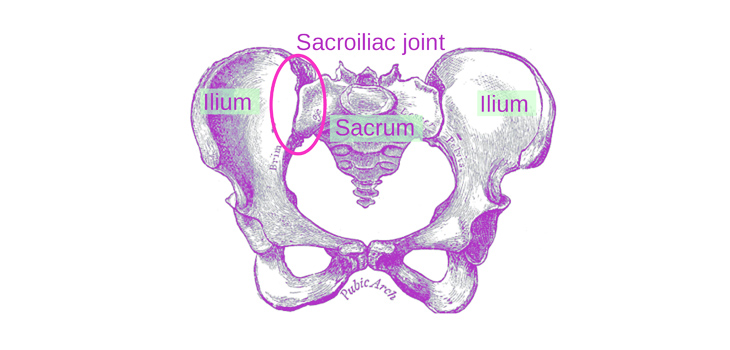 Zyga: 12-Month Results on SI Joint Fusion